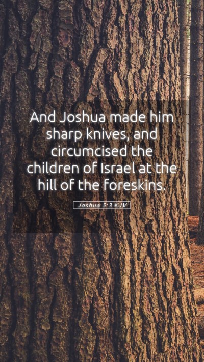 Picture 05 - Joshua 5:3 KJV Mobile Phone Wallpaper - And Joshua made him sharp knives, and circumcised - Mobile Bible Verse Wallpaper