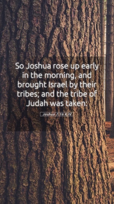 Picture 05 - Joshua 7:16 KJV Mobile Phone Wallpaper - So Joshua rose up early in the morning, and - Mobile Bible Verse Wallpaper