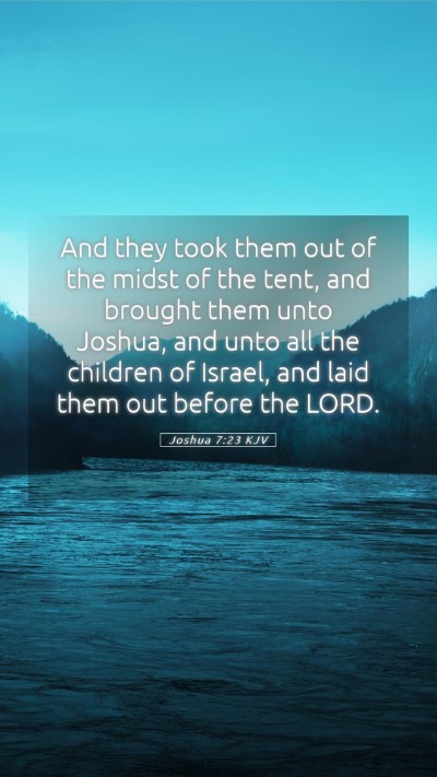 Picture 05 - Joshua 7:23 KJV Mobile Phone Wallpaper - And they took them out of the midst of the tent, - Mobile Bible Verse Wallpaper