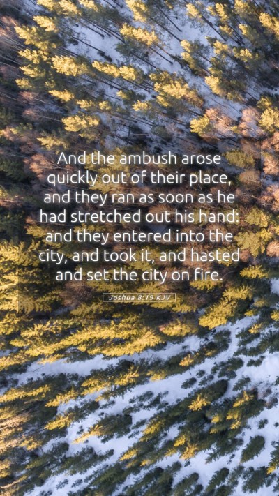 Picture 05 - Joshua 8:19 KJV Mobile Phone Wallpaper - And the ambush arose quickly out of their place, - Mobile Bible Verse Wallpaper
