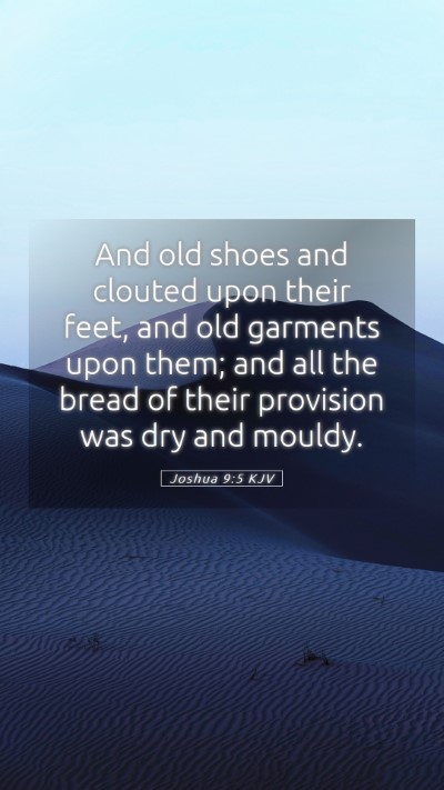 Picture 05 - Joshua 9:5 KJV Mobile Phone Wallpaper - And old shoes and clouted upon their feet, and - Mobile Bible Verse Wallpaper