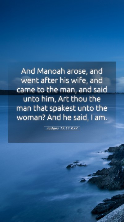Picture 05 - Judges 13:11 KJV Mobile Phone Wallpaper - And Manoah arose, and went after his wife, and - Mobile Bible Verse Wallpaper