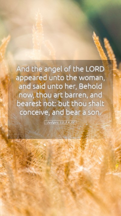 Picture 05 - Judges 13:3 KJV Mobile Phone Wallpaper - And the angel of the LORD appeared unto the - Mobile Bible Verse Wallpaper