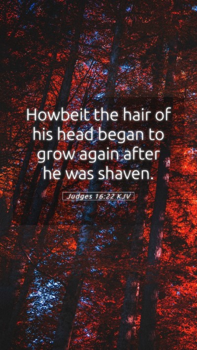 Picture 05 - Judges 16:22 KJV Mobile Phone Wallpaper - Howbeit the hair of his head began to grow again - Mobile Bible Verse Wallpaper