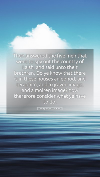Picture 05 - Judges 18:14 KJV Mobile Phone Wallpaper - Then answered the five men that went to spy out - Mobile Bible Verse Wallpaper