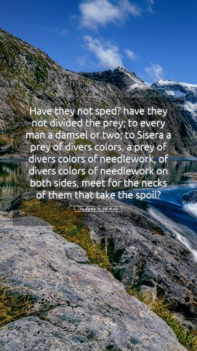 Picture 05 - Judges 5:30 KJV Mobile Phone Wallpaper - Have they not sped? have they not divided the - Mobile Bible Verse Wallpaper