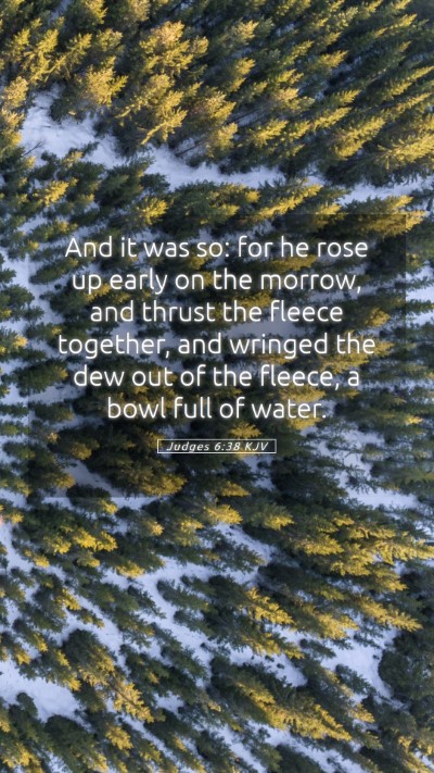 Picture 05 - Judges 6:38 KJV Mobile Phone Wallpaper - And it was so: for he rose up early on the - Mobile Bible Verse Wallpaper
