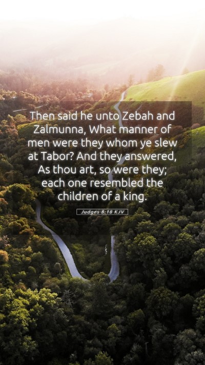 Picture 05 - Judges 8:18 KJV Mobile Phone Wallpaper - Then said he unto Zebah and Zalmunna, What manner - Mobile Bible Verse Wallpaper