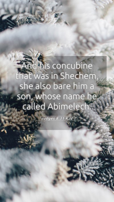 Picture 05 - Judges 8:31 KJV Mobile Phone Wallpaper - And his concubine that was in Shechem, she also - Mobile Bible Verse Wallpaper