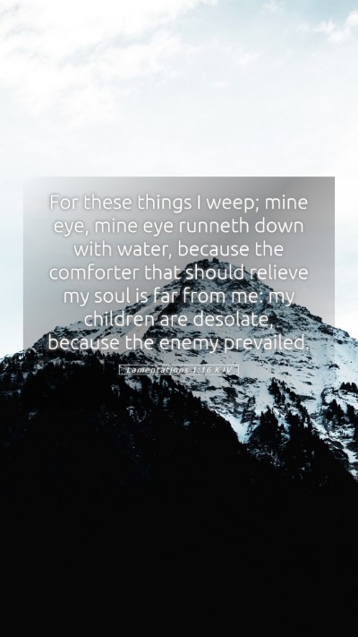 Picture 05 - Lamentations 1:16 KJV Mobile Phone Wallpaper - For these things I weep; mine eye, mine eye - Mobile Bible Verse Wallpaper