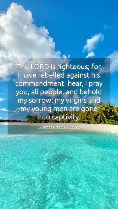 Picture 05 - Lamentations 1:18 KJV Mobile Phone Wallpaper - The LORD is righteous; for I have rebelled - Mobile Bible Verse Wallpaper