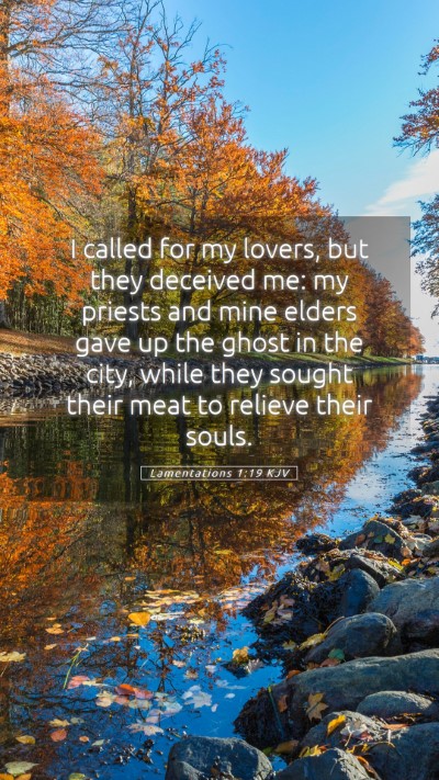 Picture 05 - Lamentations 1:19 KJV Mobile Phone Wallpaper - I called for my lovers, but they deceived me: my - Mobile Bible Verse Wallpaper