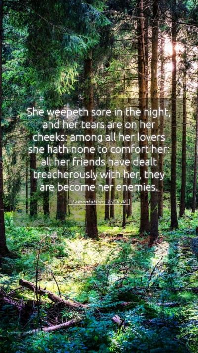 Picture 05 - Lamentations 1:2 KJV Mobile Phone Wallpaper - She weepeth sore in the night, and her tears are - Mobile Bible Verse Wallpaper
