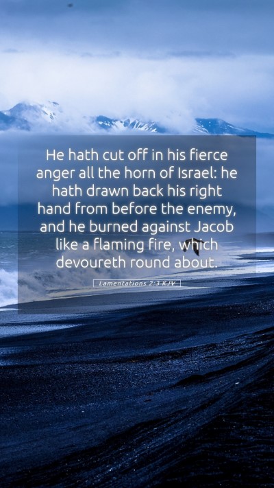 Picture 05 - Lamentations 2:3 KJV Mobile Phone Wallpaper - He hath cut off in his fierce anger all the horn - Mobile Bible Verse Wallpaper