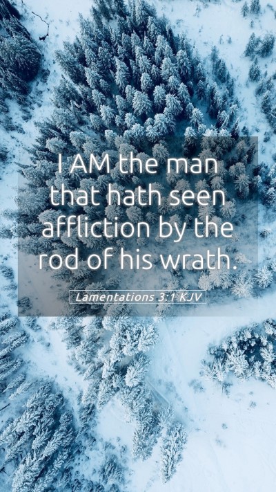 Picture 05 - Lamentations 3:1 KJV Mobile Phone Wallpaper - I AM the man that hath seen affliction by the rod - Mobile Bible Verse Wallpaper