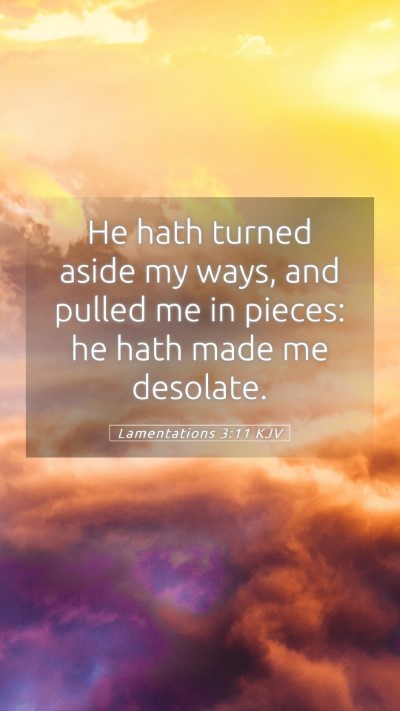 Picture 05 - Lamentations 3:11 KJV Mobile Phone Wallpaper - He hath turned aside my ways, and pulled me in - Mobile Bible Verse Wallpaper