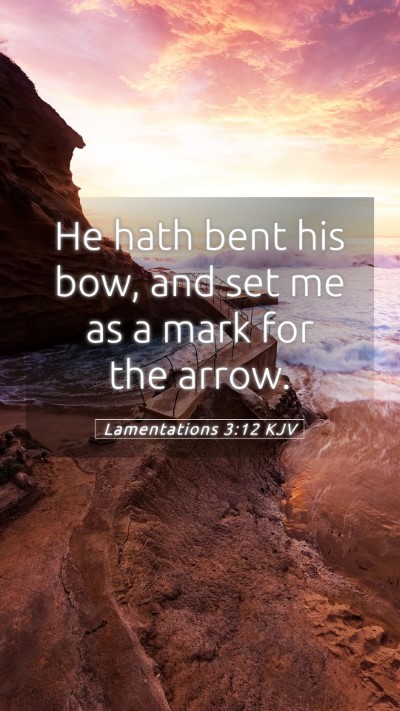 Picture 05 - Lamentations 3:12 KJV Mobile Phone Wallpaper - He hath bent his bow, and set me as a mark for - Mobile Bible Verse Wallpaper