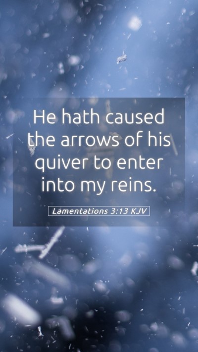 Picture 05 - Lamentations 3:13 KJV Mobile Phone Wallpaper - He hath caused the arrows of his quiver to enter - Mobile Bible Verse Wallpaper