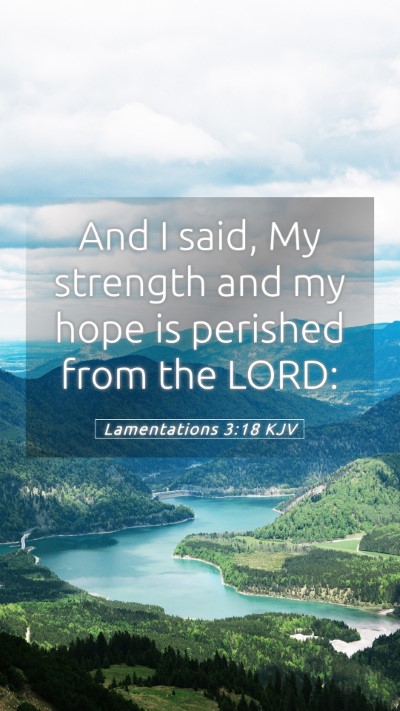 Picture 05 - Lamentations 3:18 KJV Mobile Phone Wallpaper - And I said, My strength and my hope is perished - Mobile Bible Verse Wallpaper