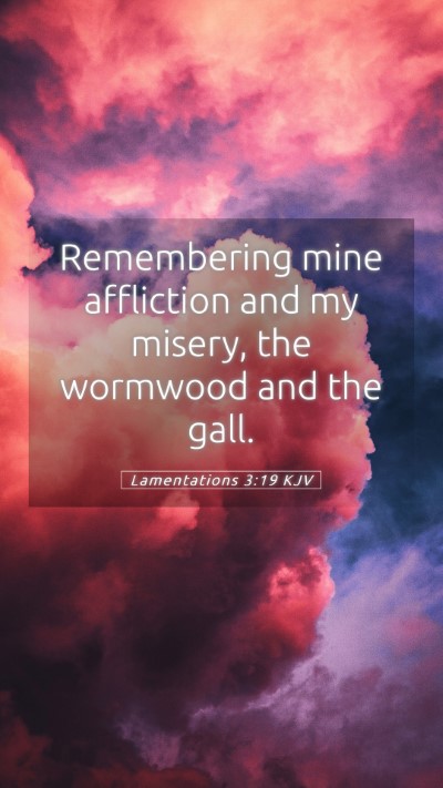 Picture 05 - Lamentations 3:19 KJV Mobile Phone Wallpaper - Remembering mine affliction and my misery, the - Mobile Bible Verse Wallpaper
