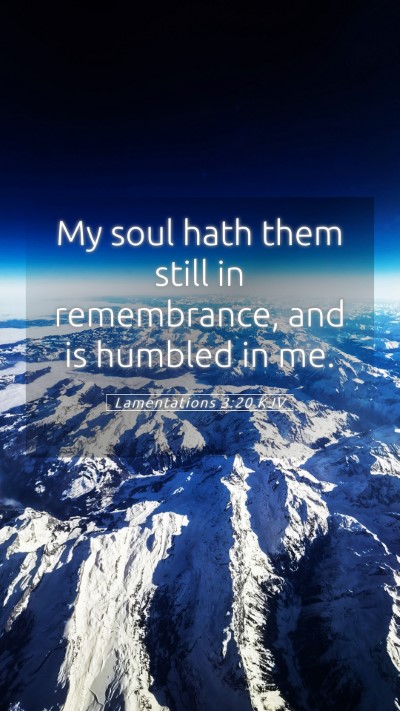 Picture 05 - Lamentations 3:20 KJV Mobile Phone Wallpaper - My soul hath them still in remembrance, and is - Mobile Bible Verse Wallpaper