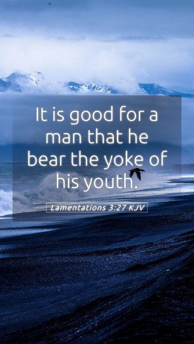 Picture 05 - Lamentations 3:27 KJV Mobile Phone Wallpaper - It is good for a man that he bear the yoke of his - Mobile Bible Verse Wallpaper