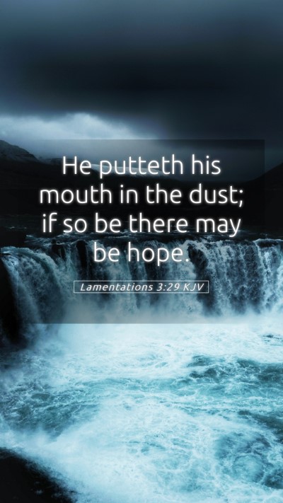 Picture 05 - Lamentations 3:29 KJV Mobile Phone Wallpaper - He putteth his mouth in the dust; if so be there - Mobile Bible Verse Wallpaper