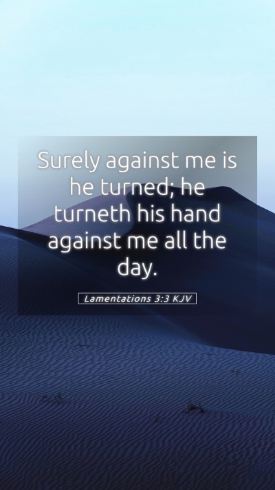 Picture 05 - Lamentations 3:3 KJV Mobile Phone Wallpaper - Surely against me is he turned; he turneth his - Mobile Bible Verse Wallpaper