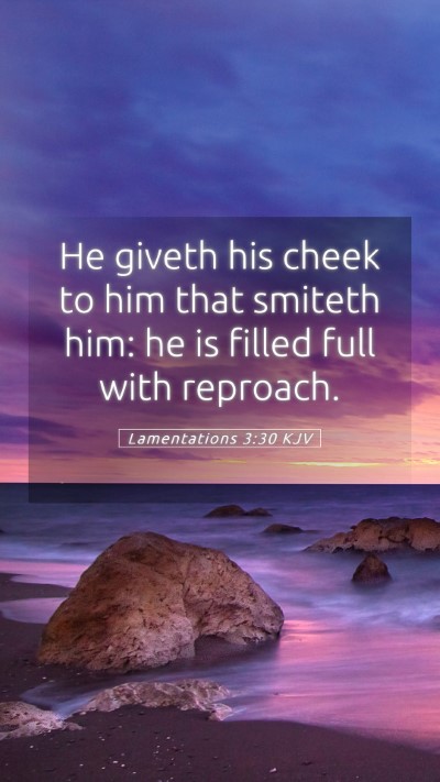 Picture 05 - Lamentations 3:30 KJV Mobile Phone Wallpaper - He giveth his cheek to him that smiteth him: he - Mobile Bible Verse Wallpaper