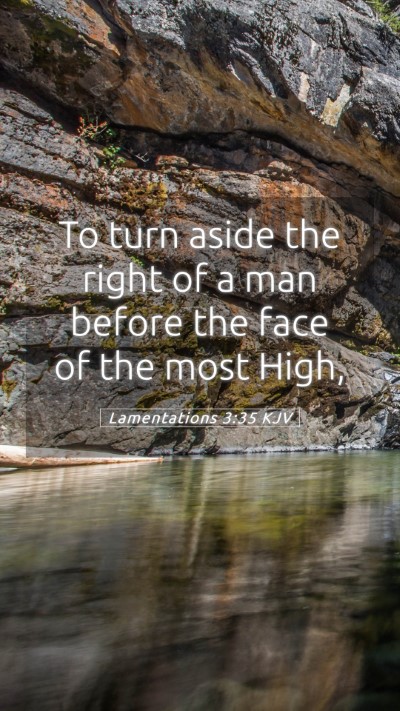 Picture 05 - Lamentations 3:35 KJV Mobile Phone Wallpaper - To turn aside the right of a man before the face - Mobile Bible Verse Wallpaper