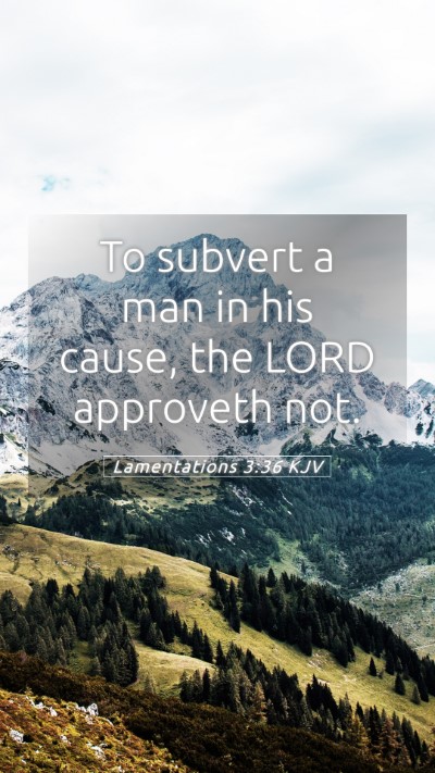 Picture 05 - Lamentations 3:36 KJV Mobile Phone Wallpaper - To subvert a man in his cause, the LORD approveth - Mobile Bible Verse Wallpaper
