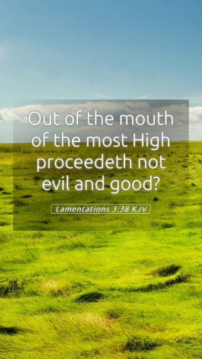 Picture 05 - Lamentations 3:38 KJV Mobile Phone Wallpaper - Out of the mouth of the most High proceedeth not - Mobile Bible Verse Wallpaper