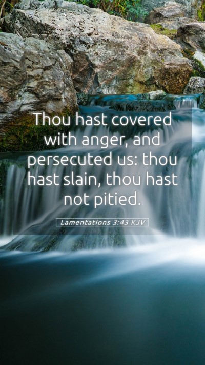 Picture 05 - Lamentations 3:43 KJV Mobile Phone Wallpaper - Thou hast covered with anger, and persecuted us: - Mobile Bible Verse Wallpaper