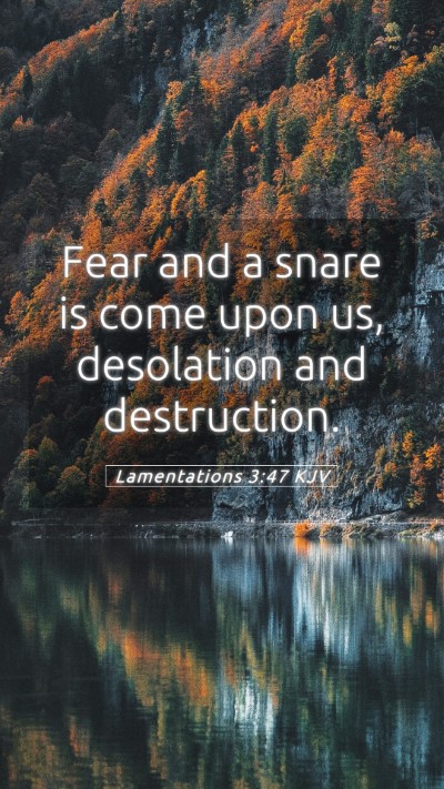 Picture 05 - Lamentations 3:47 KJV Mobile Phone Wallpaper - Fear and a snare is come upon us, desolation and - Mobile Bible Verse Wallpaper