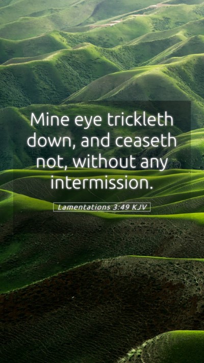 Picture 05 - Lamentations 3:49 KJV Mobile Phone Wallpaper - Mine eye trickleth down, and ceaseth not, without - Mobile Bible Verse Wallpaper