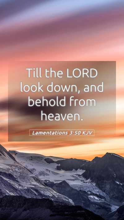 Picture 05 - Lamentations 3:50 KJV Mobile Phone Wallpaper - Till the LORD look down, and behold from - Mobile Bible Verse Wallpaper