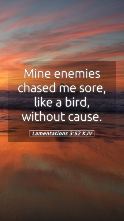 Picture 05 - Lamentations 3:52 KJV Mobile Phone Wallpaper - Mine enemies chased me sore, like a bird, without - Mobile Bible Verse Wallpaper