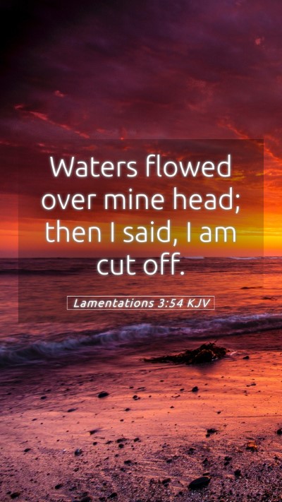 Picture 05 - Lamentations 3:54 KJV Mobile Phone Wallpaper - Waters flowed over mine head; then I said, I am - Mobile Bible Verse Wallpaper