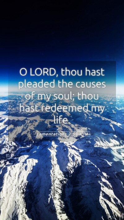 Picture 05 - Lamentations 3:58 KJV Mobile Phone Wallpaper - O LORD, thou hast pleaded the causes of my soul; - Mobile Bible Verse Wallpaper