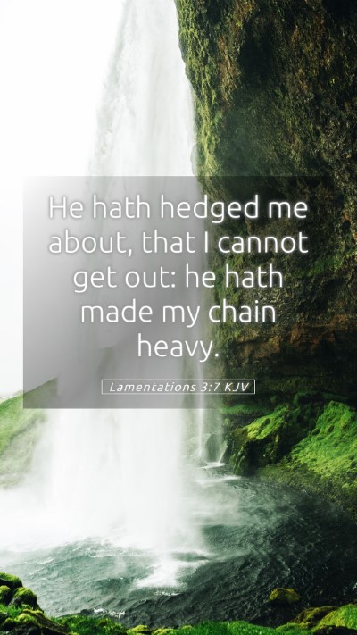 Picture 05 - Lamentations 3:7 KJV Mobile Phone Wallpaper - He hath hedged me about, that I cannot get out: - Mobile Bible Verse Wallpaper