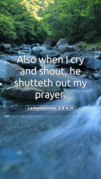 Picture 05 - Lamentations 3:8 KJV Mobile Phone Wallpaper - Also when I cry and shout, he shutteth out my - Mobile Bible Verse Wallpaper