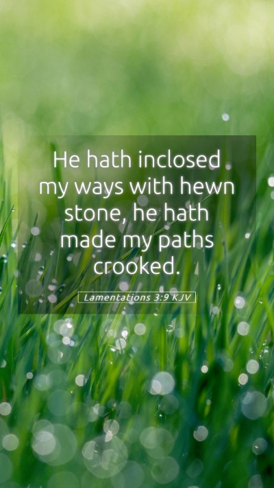 Picture 05 - Lamentations 3:9 KJV Mobile Phone Wallpaper - He hath inclosed my ways with hewn stone, he hath - Mobile Bible Verse Wallpaper