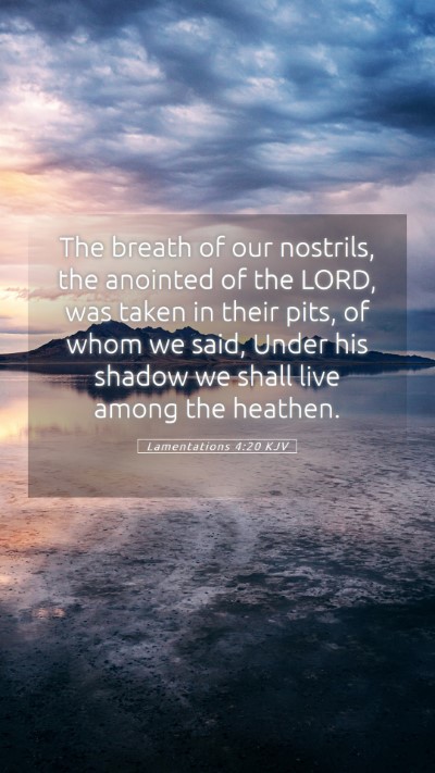 Picture 05 - Lamentations 4:20 KJV Mobile Phone Wallpaper - The breath of our nostrils, the anointed of the - Mobile Bible Verse Wallpaper