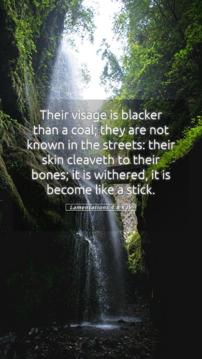 Picture 05 - Lamentations 4:8 KJV Mobile Phone Wallpaper - Their visage is blacker than a coal; they are not - Mobile Bible Verse Wallpaper