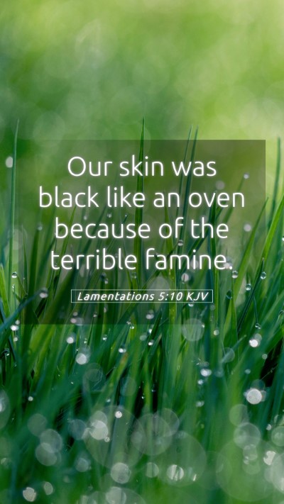 Picture 05 - Lamentations 5:10 KJV Mobile Phone Wallpaper - Our skin was black like an oven because of the - Mobile Bible Verse Wallpaper