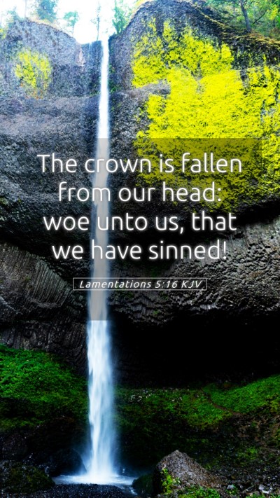 Picture 05 - Lamentations 5:16 KJV Mobile Phone Wallpaper - The crown is fallen from our head: woe unto us, - Mobile Bible Verse Wallpaper