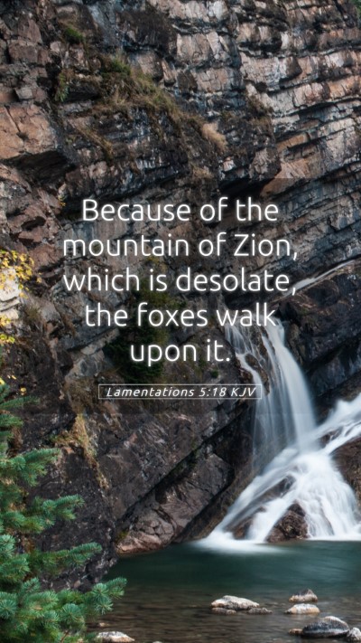 Picture 05 - Lamentations 5:18 KJV Mobile Phone Wallpaper - Because of the mountain of Zion, which is - Mobile Bible Verse Wallpaper