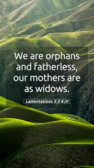 Picture 05 - Lamentations 5:3 KJV Mobile Phone Wallpaper - We are orphans and fatherless, our mothers are as - Mobile Bible Verse Wallpaper