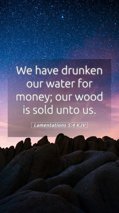 Picture 05 - Lamentations 5:4 KJV Mobile Phone Wallpaper - We have drunken our water for money; our wood is - Mobile Bible Verse Wallpaper