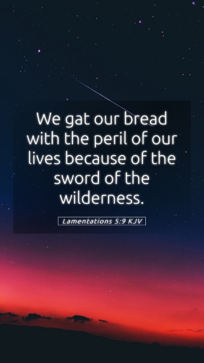 Picture 05 - Lamentations 5:9 KJV Mobile Phone Wallpaper - We gat our bread with the peril of our lives - Mobile Bible Verse Wallpaper